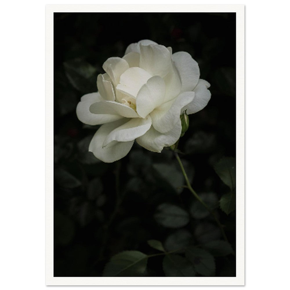 9291c233-ef47-4dda-80c3-d69948e9ab1d