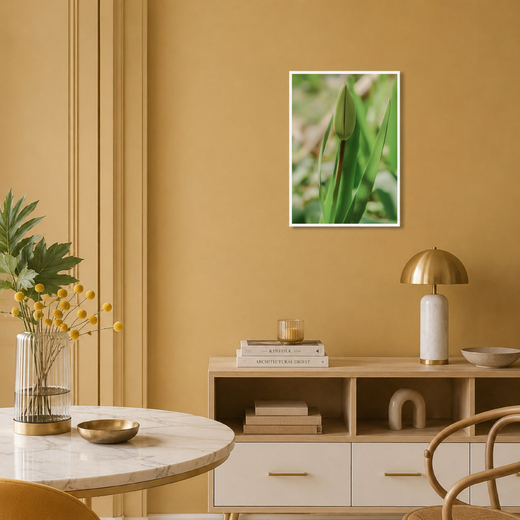 Tulpe - Fine Art Print