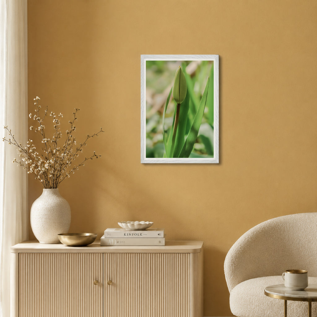 Tulpe - Gerahmter Fine Art Print