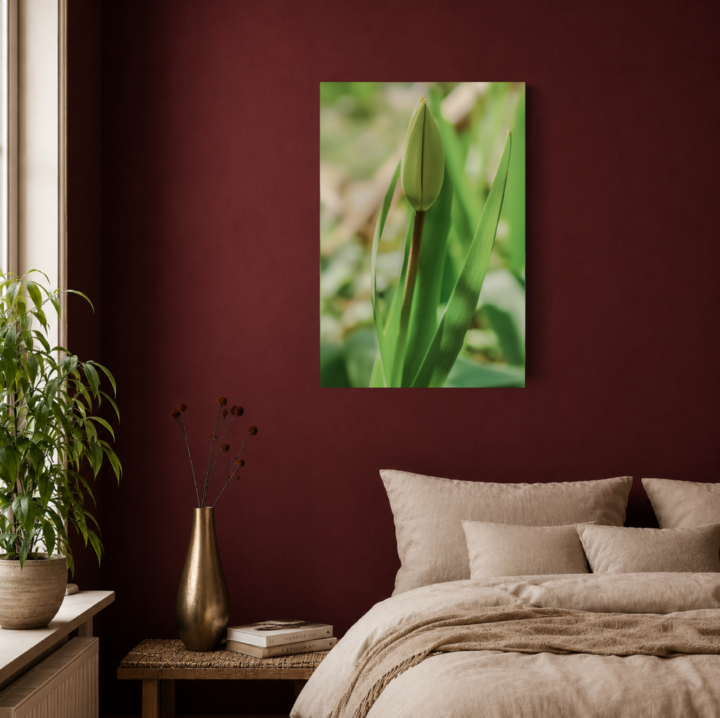 Tulip | Premium Canvas XL