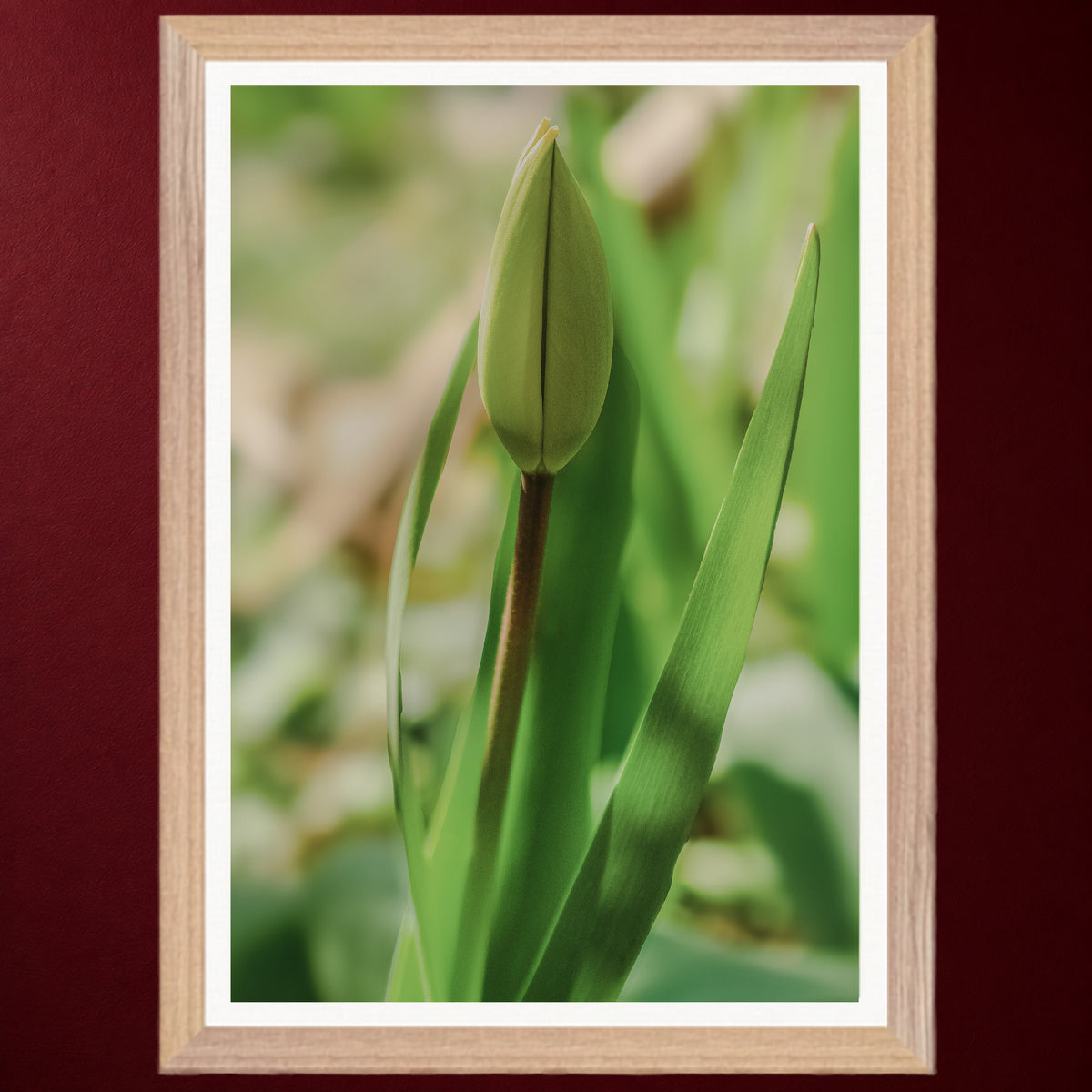 I - Erwachen | Gerahmter Fine Art Print