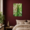 Tulpe - Premium Leinwand XL