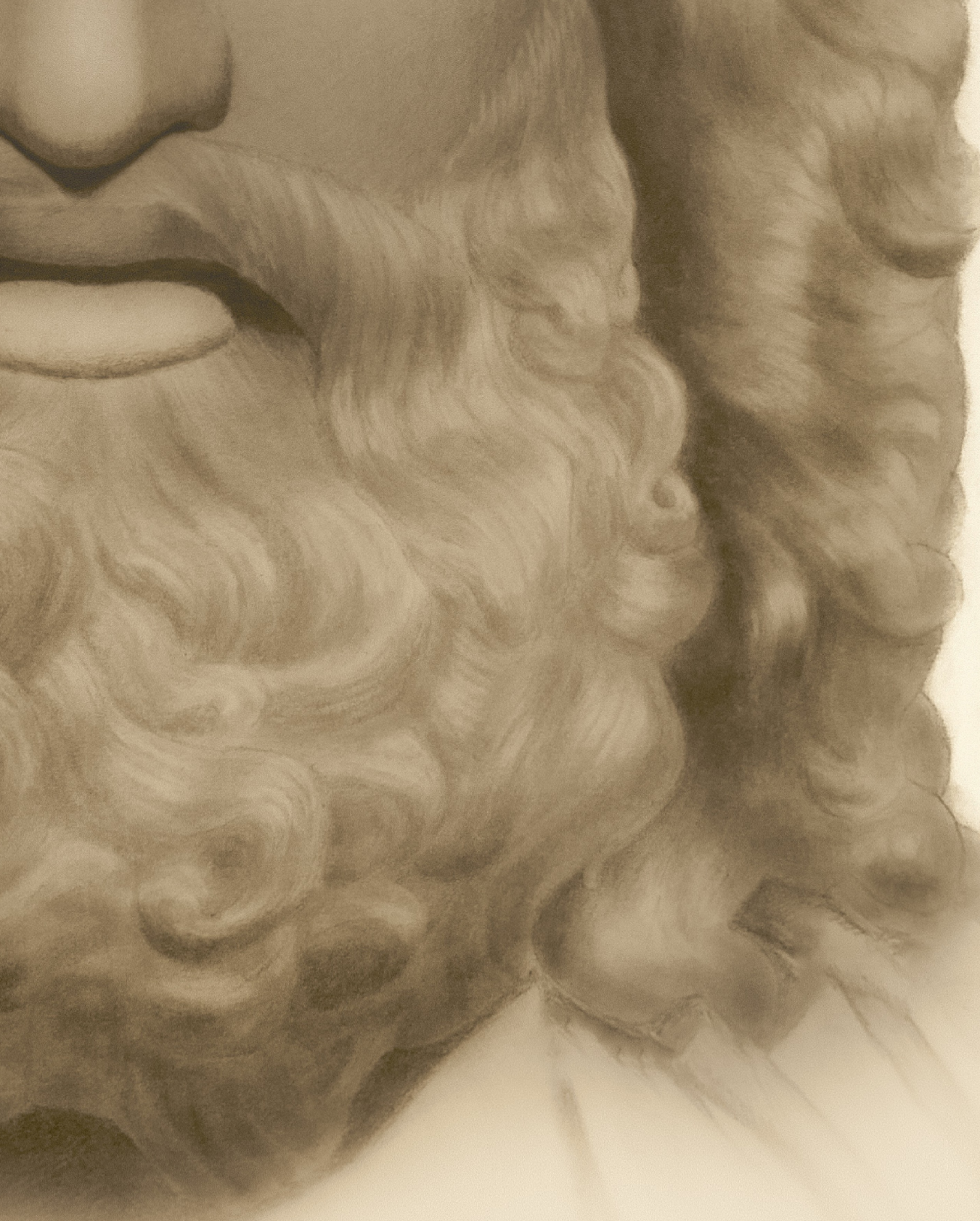 Zeus | Fine Art Print