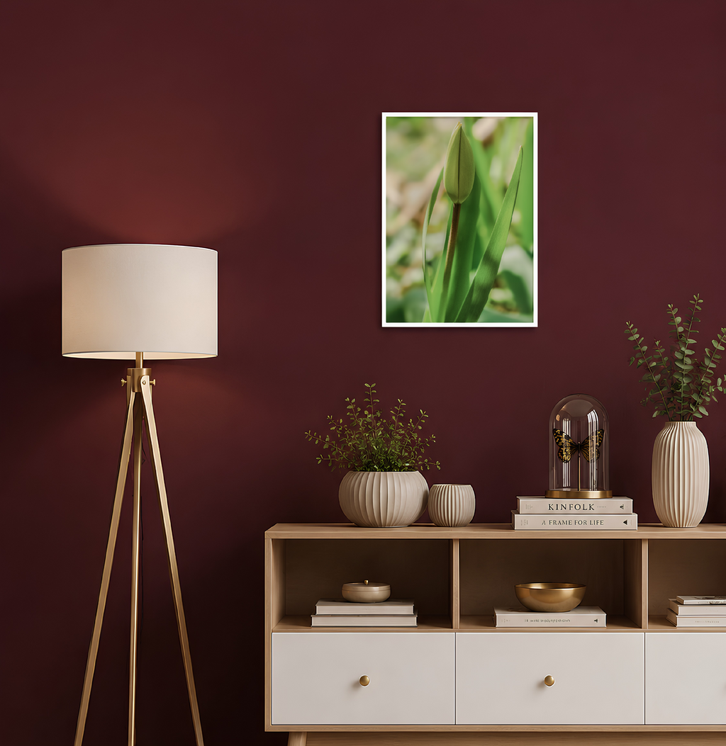 Tulpe | Fine Art Print