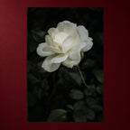 II - Stille | Premium Leinwand – 40 × 60 cm