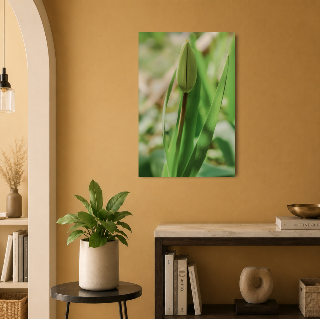 Tulip | Premium Canvas XL