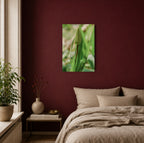 Tulpe - Premium Leinwand