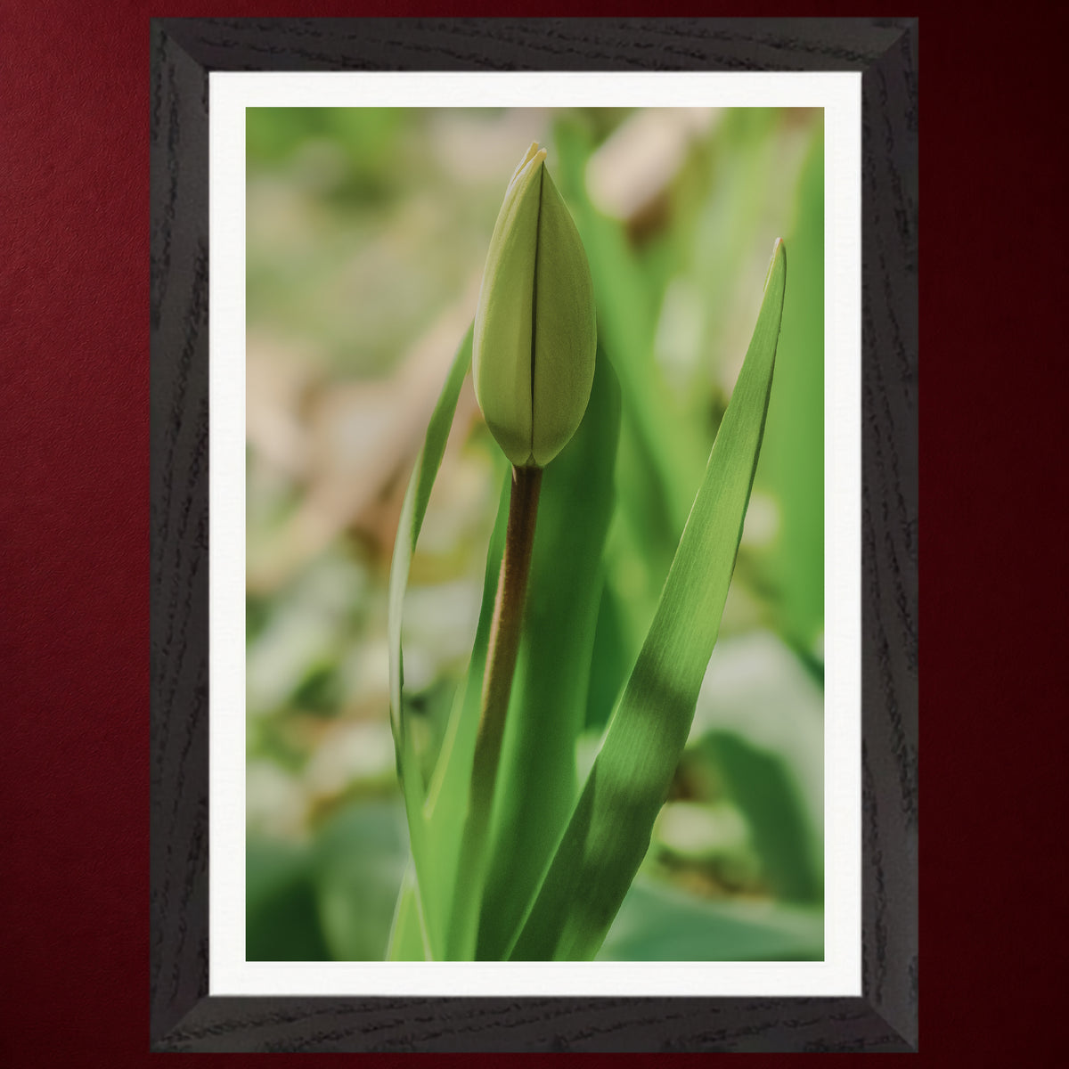 I - Erwachen | Gerahmter Fine Art Print