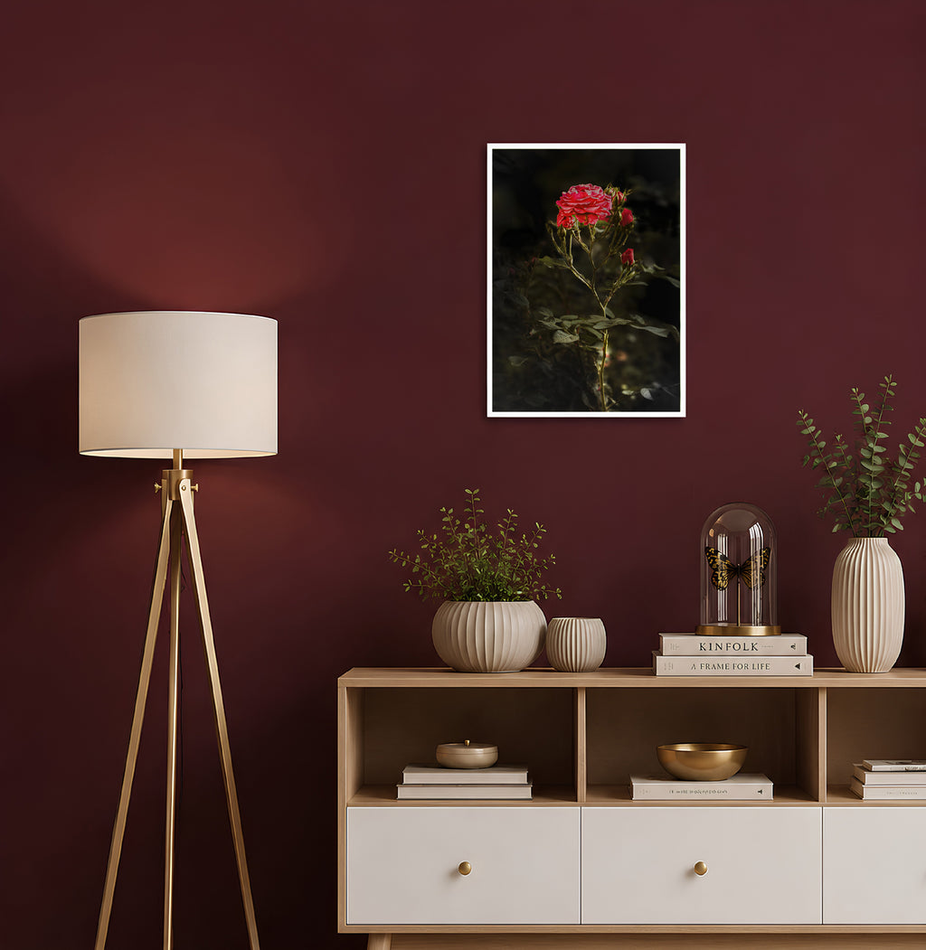 Rosenandacht | Fine Art Print