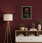 Rosenandacht | Fine Art Print