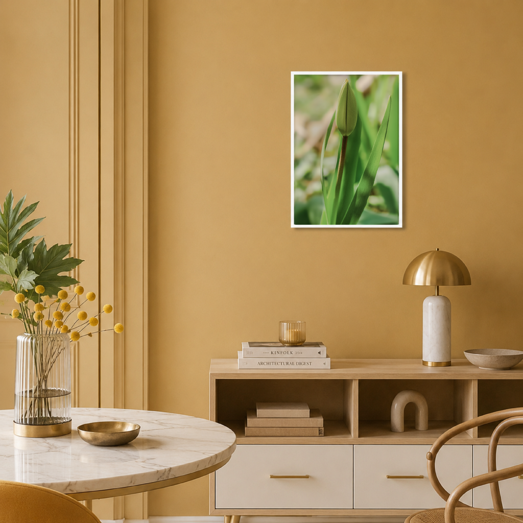 Tulpe | Fine Art Print