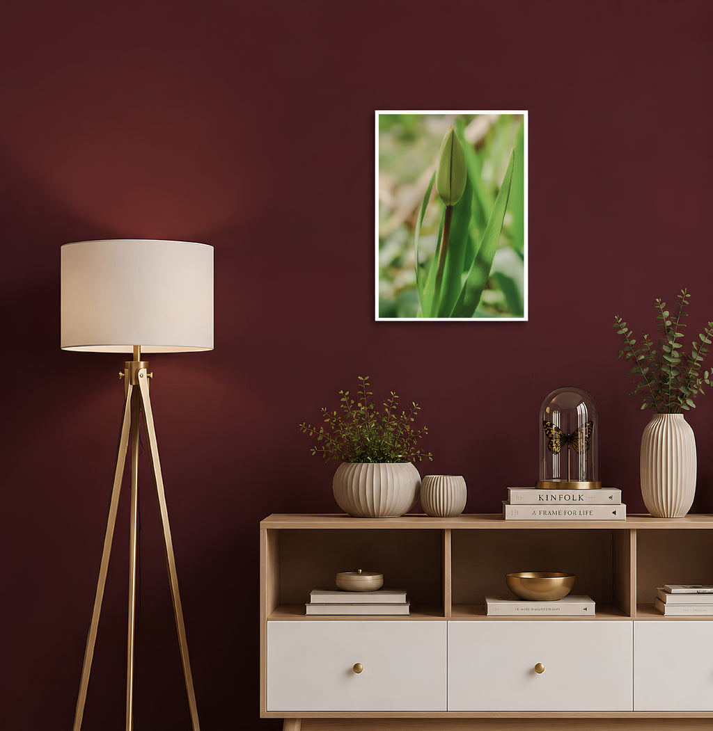 Tulpe - Fine Art Print