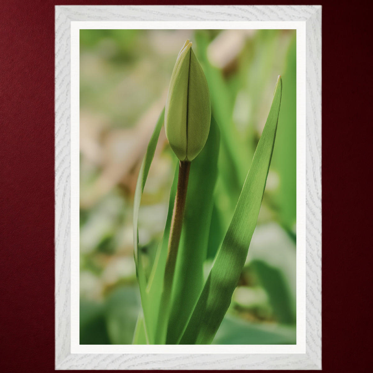 I - Erwachen | Gerahmter Fine Art Print