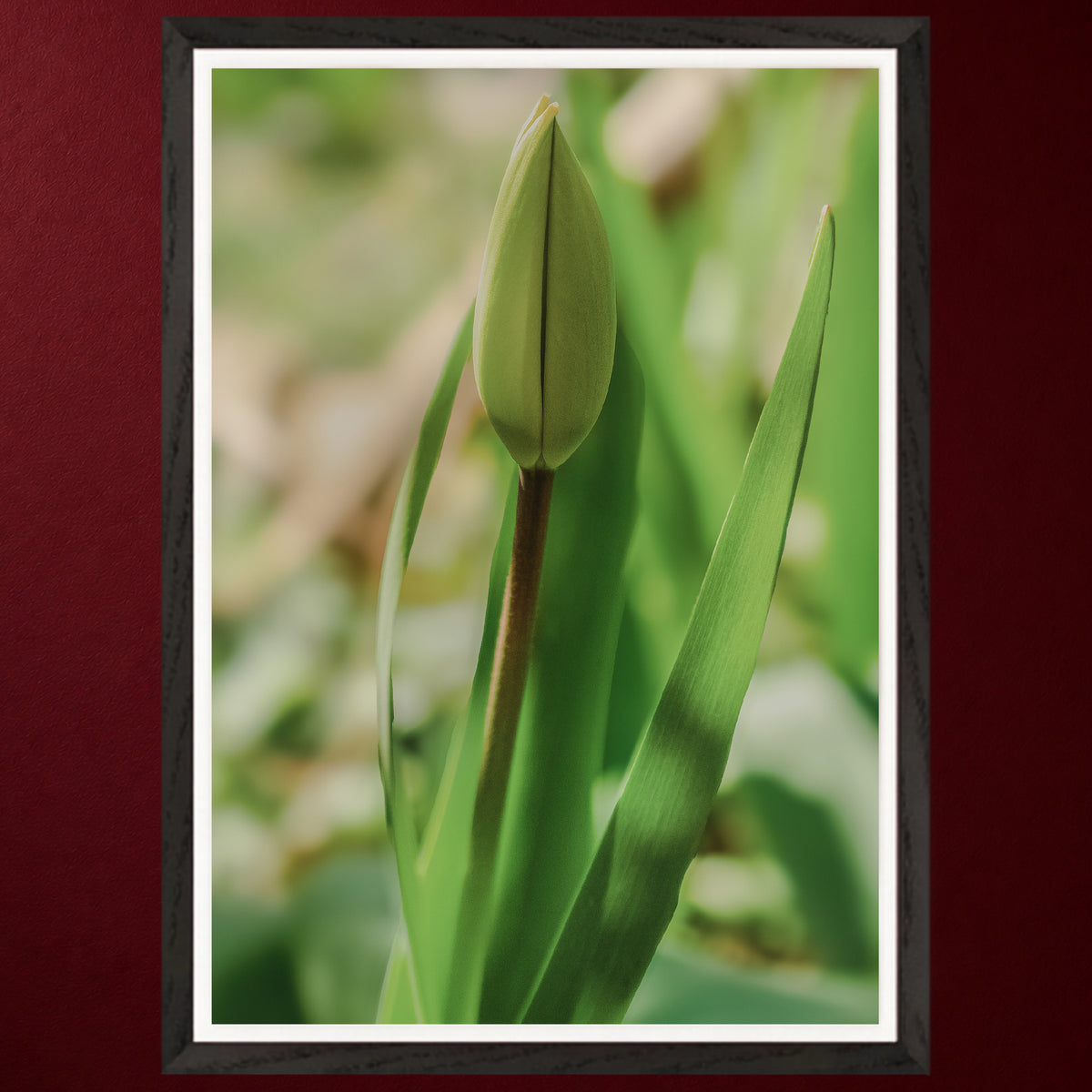 I - Erwachen | Gerahmter Fine Art Print