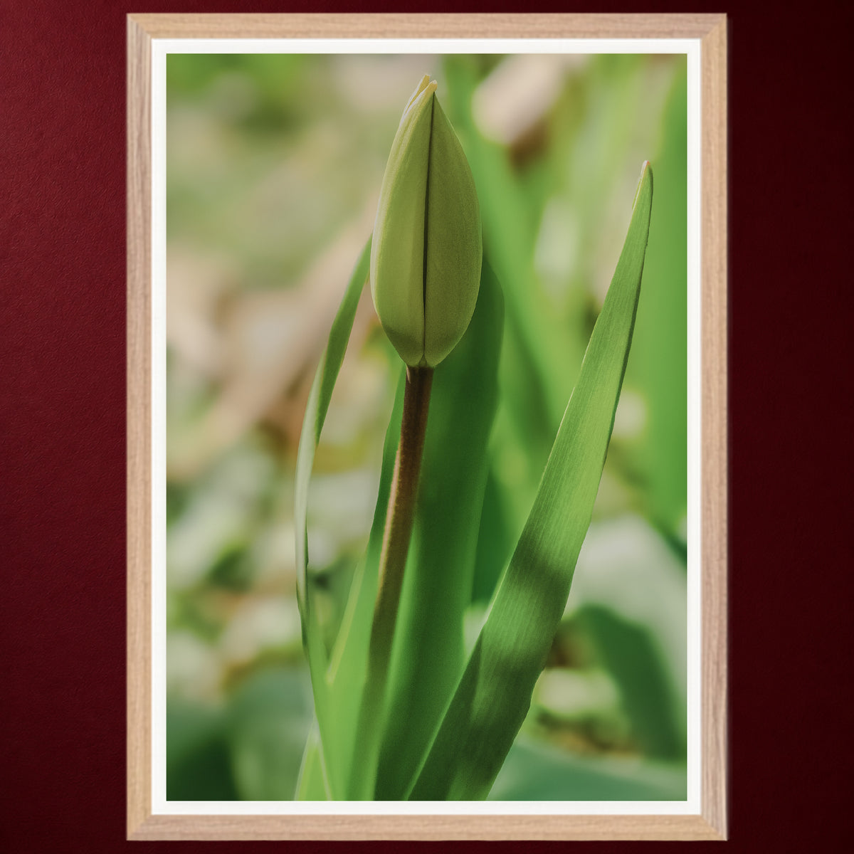 I - Erwachen | Gerahmter Fine Art Print