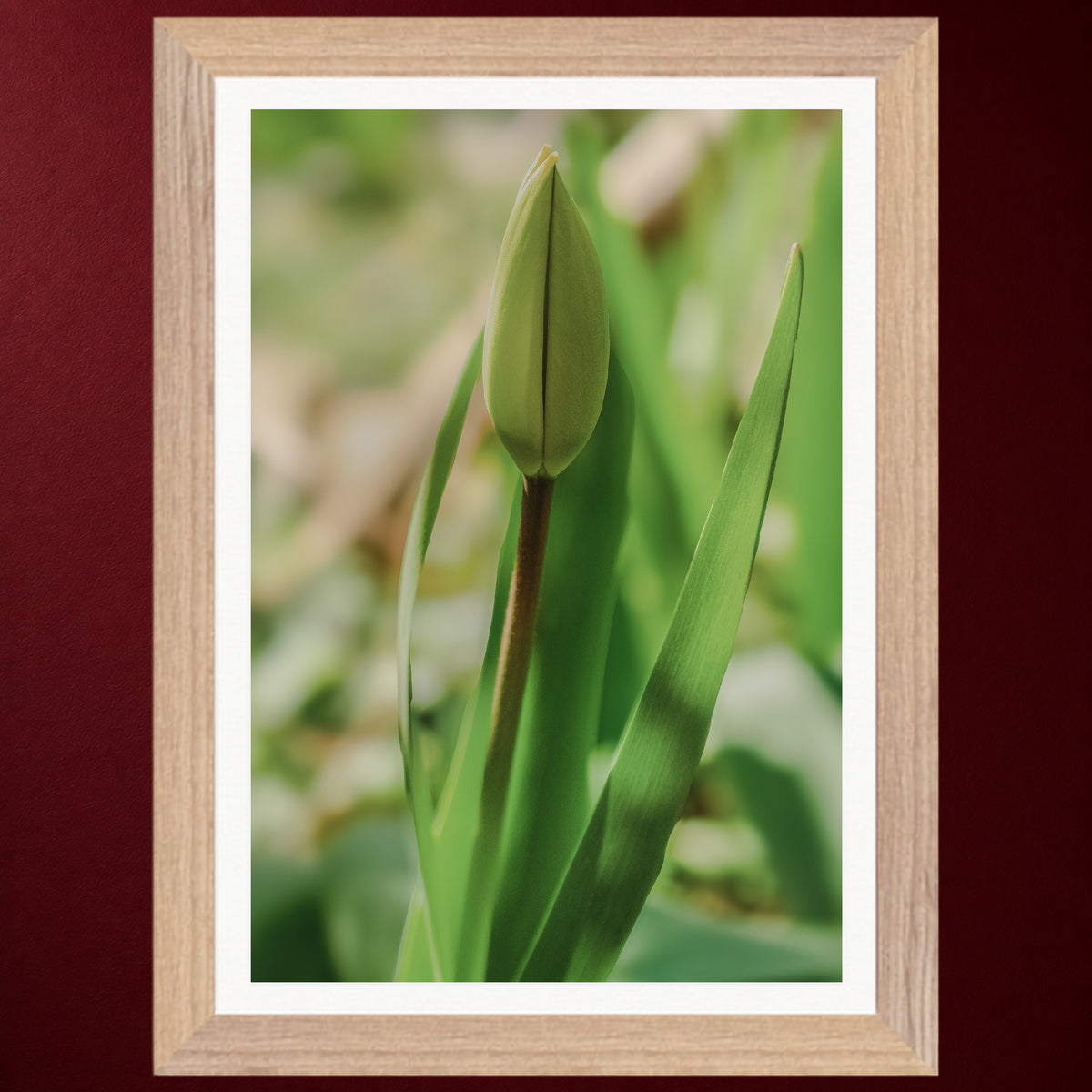 I - Erwachen | Gerahmter Fine Art Print
