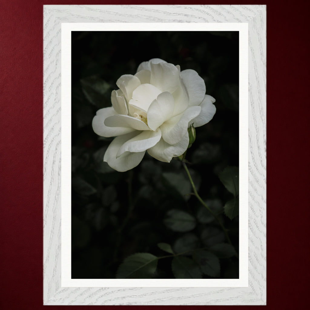 II - Stille | Gerahmter Fine Art Print