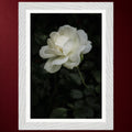 II - Stille | Gerahmter Fine Art Print