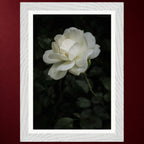 II - Stille | Gerahmter Fine Art Print